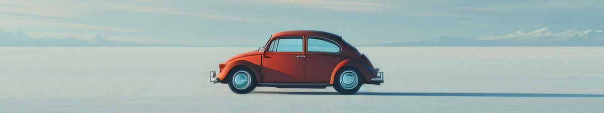 Aut Übersiedlungsgut beim Umzug in die Schweiz