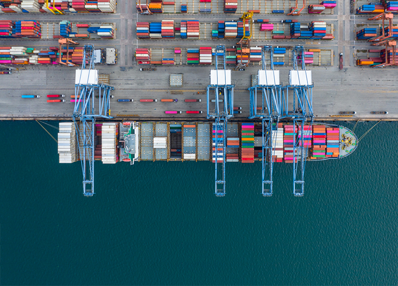 Mansoura Logistic Solutions in Umzugsunternehmen » Hammah