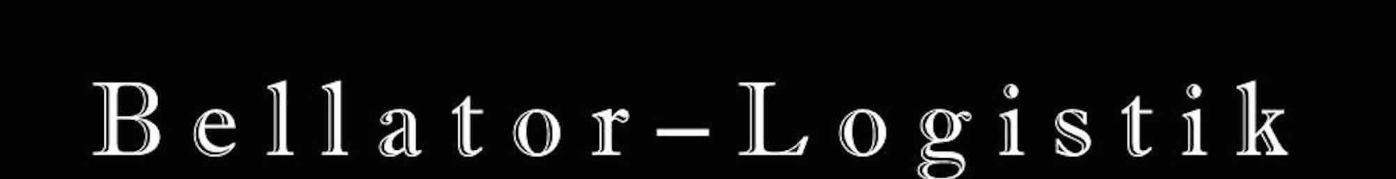 Ihr Bellator-Logistik-Team in Umzugsunternehmen » Schildow