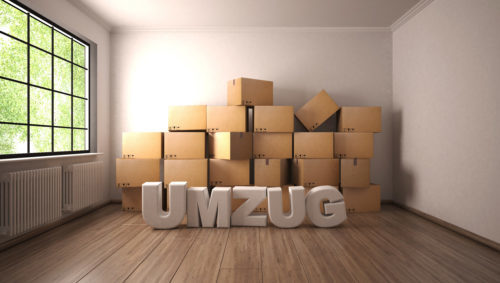 Logo von Schnellumzug