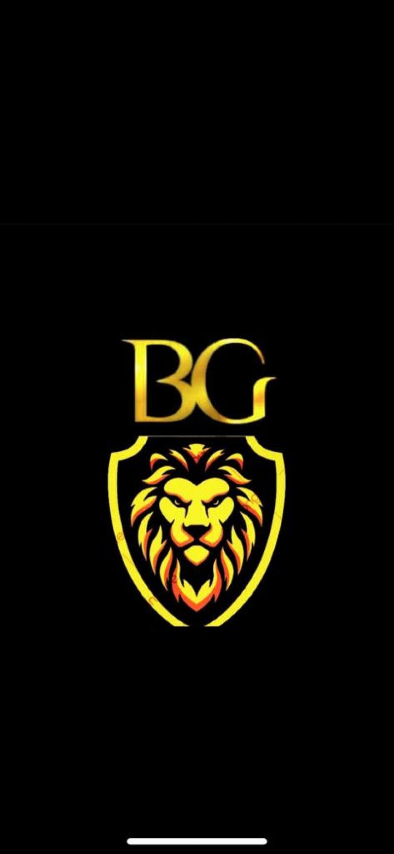 BG Transporte & Umzüge in Umzugsunternehmen » Heusenstamm