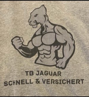 Umzug Tb Jaguar in Umzugsunternehmen » Leipzig